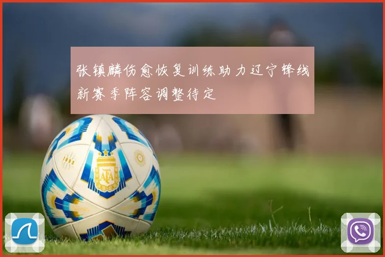 张镇麟伤愈恢复训练助力辽宁锋线新赛季阵容调整待定