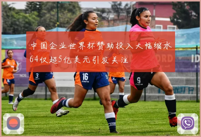 中国企业世界杯赞助投入大幅缩水64仅超5亿美元引发关注